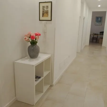 Raynova Guest house *